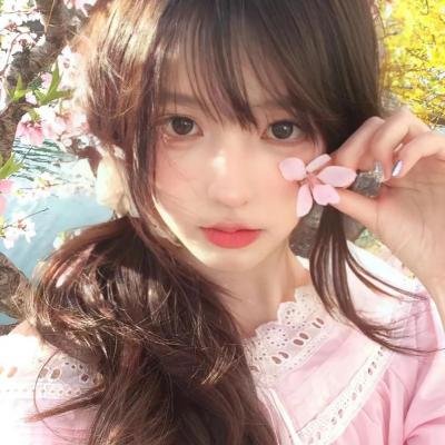 天堂岛疑云第十二季