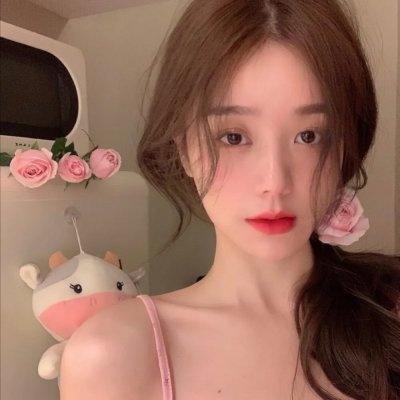 迪克·特平完全虚构的冒险